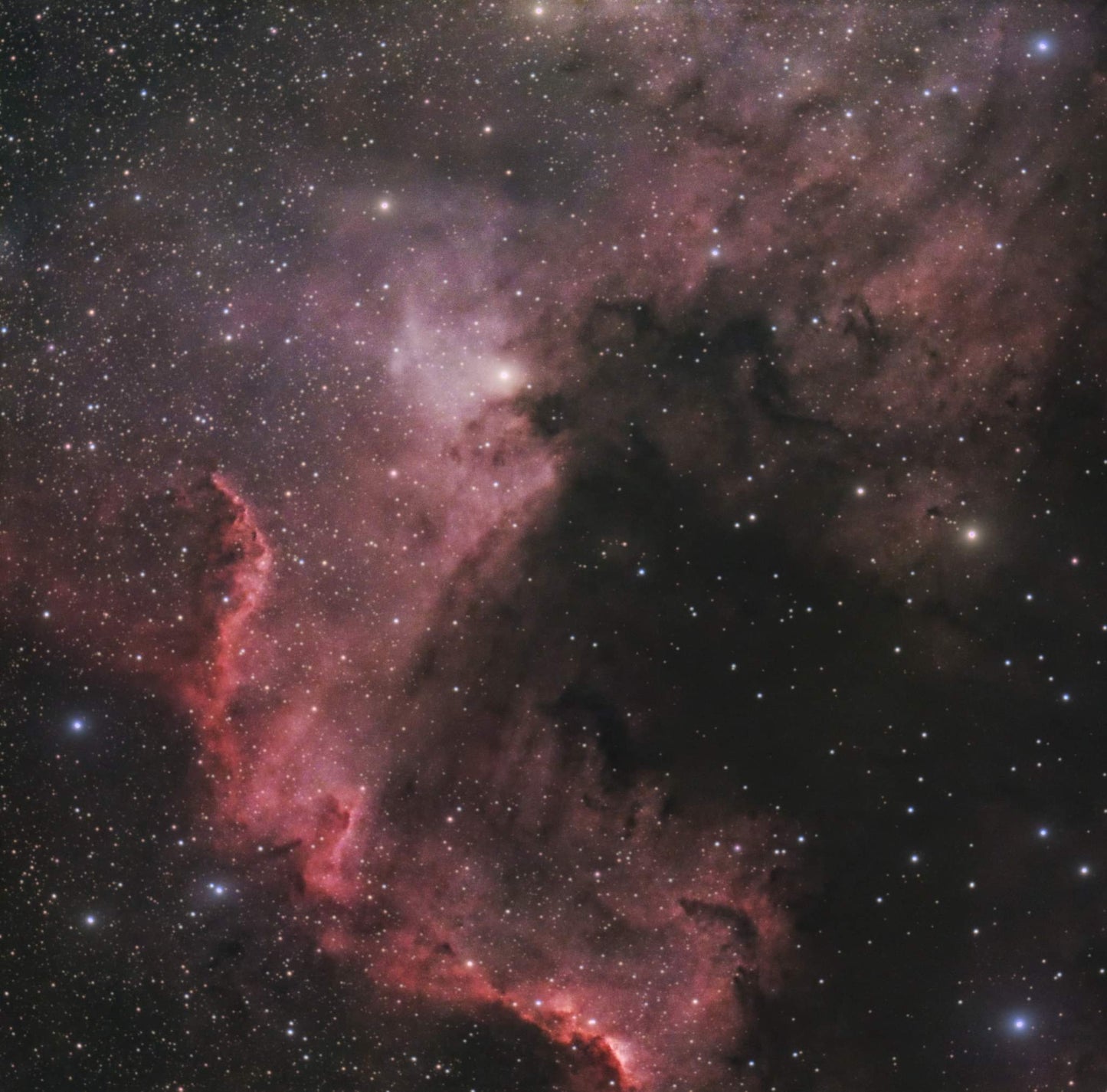 Astro Sparkle DK