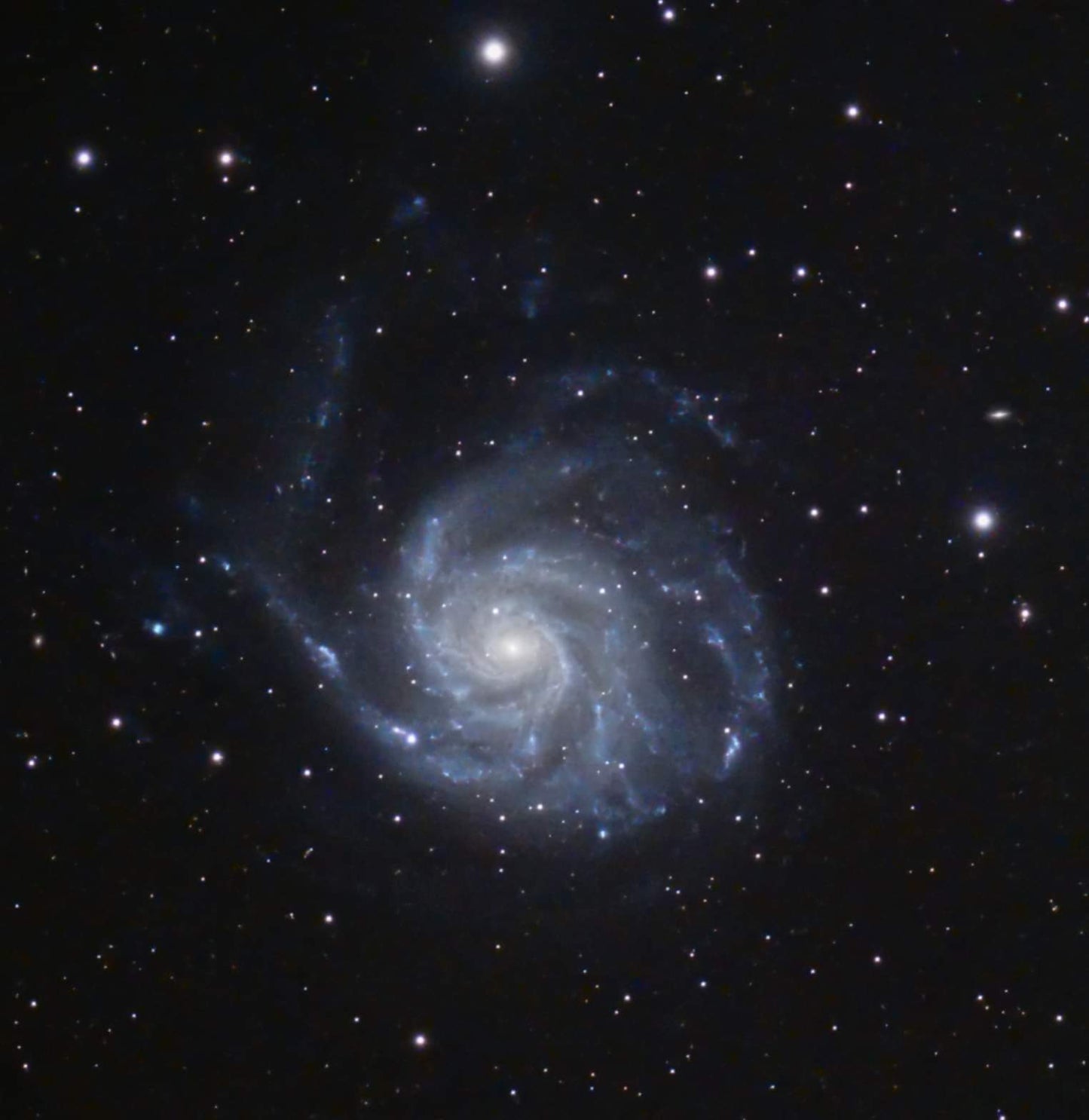 Astro Sparkle DK