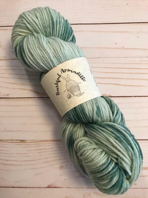 Bashful Armadillo DK